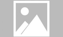 国产精品手机在线,引领科技潮流的璀璨明珠